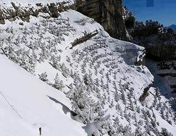 ������������