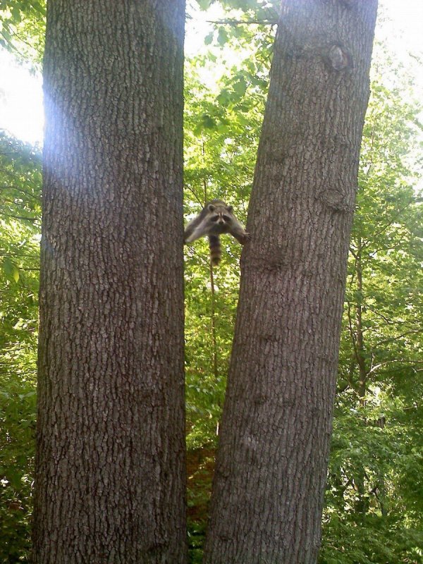 ���� ��������