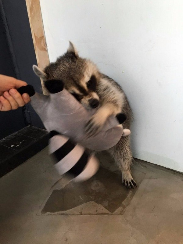 ���� ������