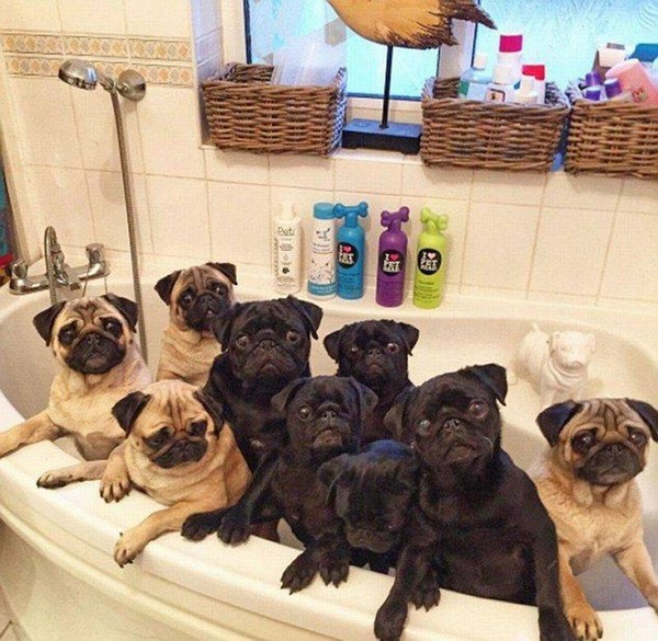 ���� ������