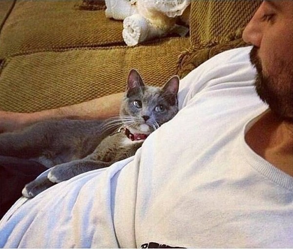 ���� ������