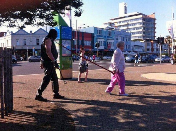 �����������