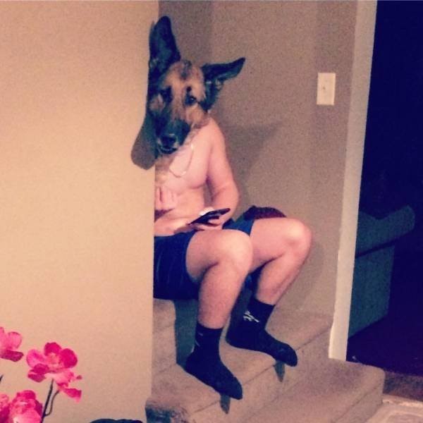 ����� �����