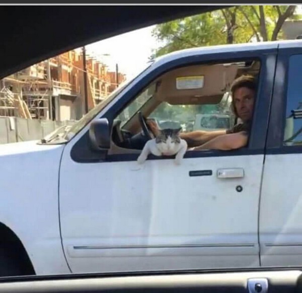 ����� �����