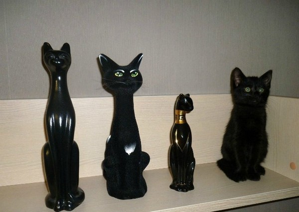 ����� �����