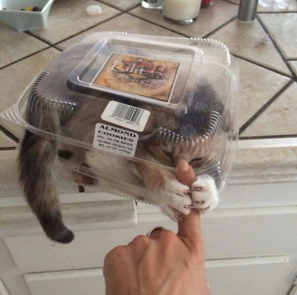 ����� �����