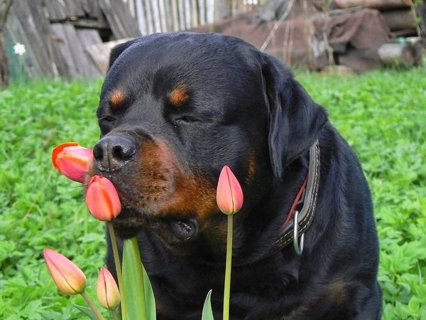 ����� �����