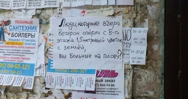 �������