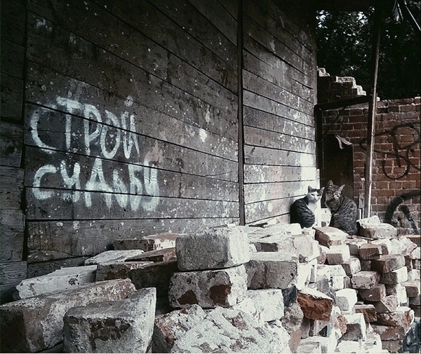 �������