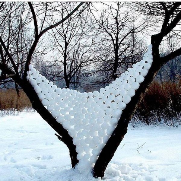 �������� �����