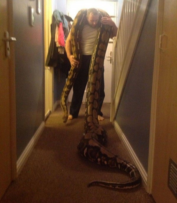 ���� ������