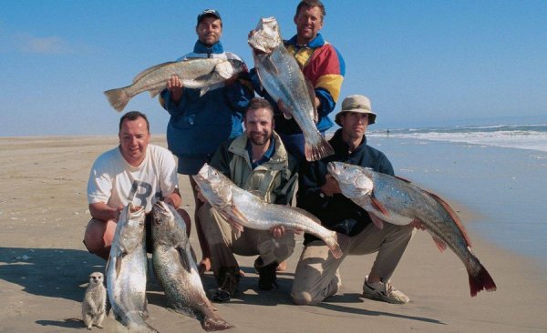 ���� ������