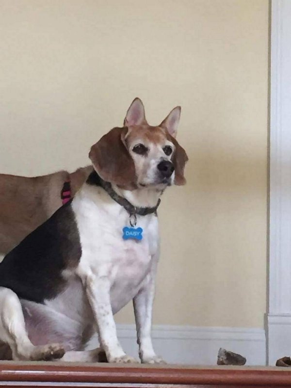 ���� ������