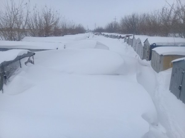 ������������