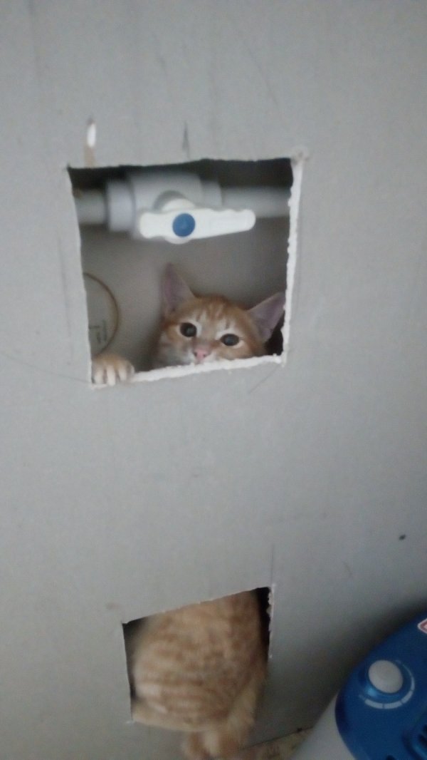 ����� �����