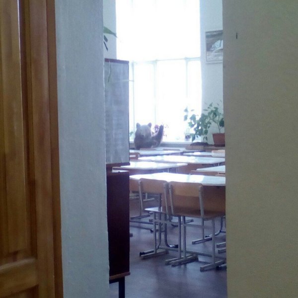 ����� �����