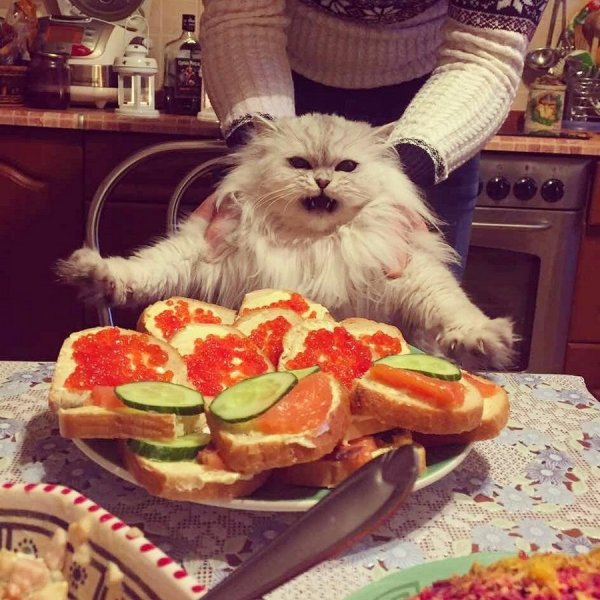 ����� �����