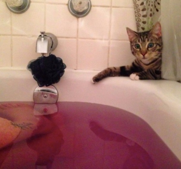 � ����� �����