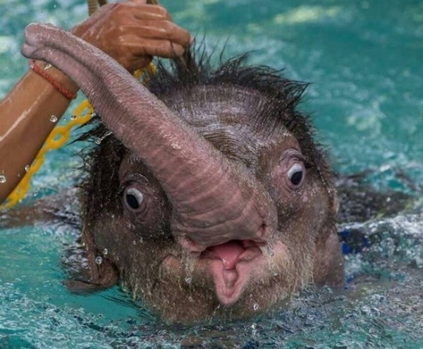 ��������