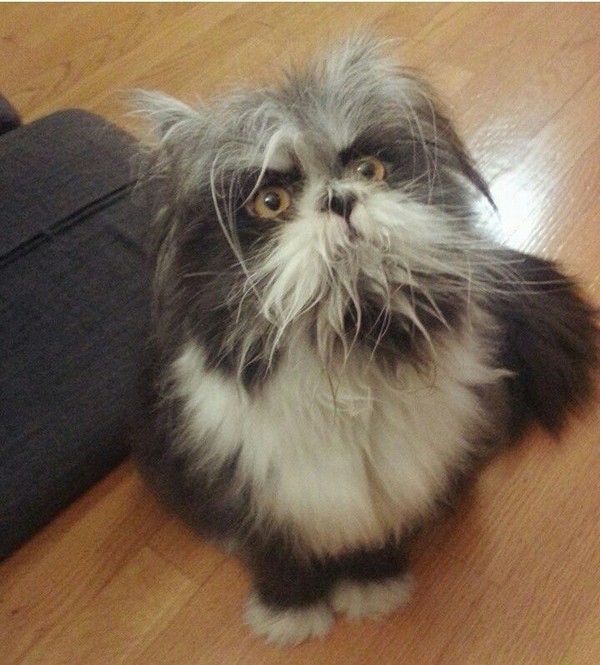 ��������