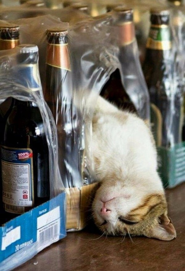 ������� ���