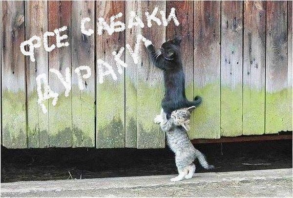 ������� � ���������