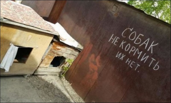 ������� � ���������