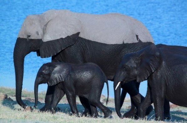 ��������