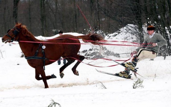 ������ �����