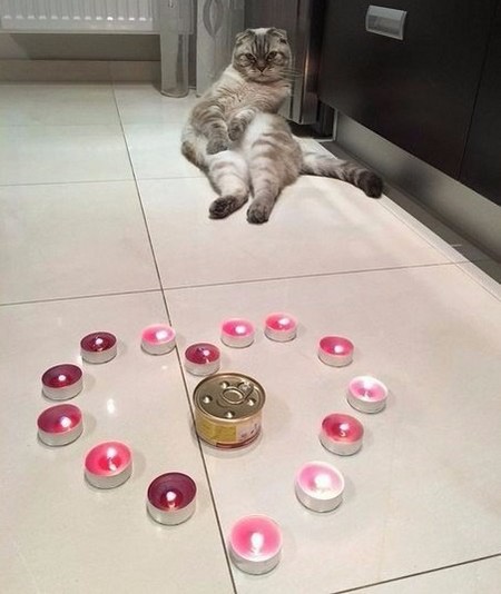 ������ �����