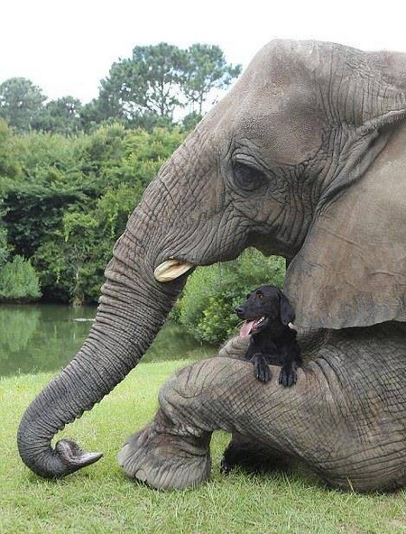 ������ �����