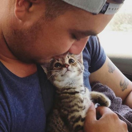 ������ �����