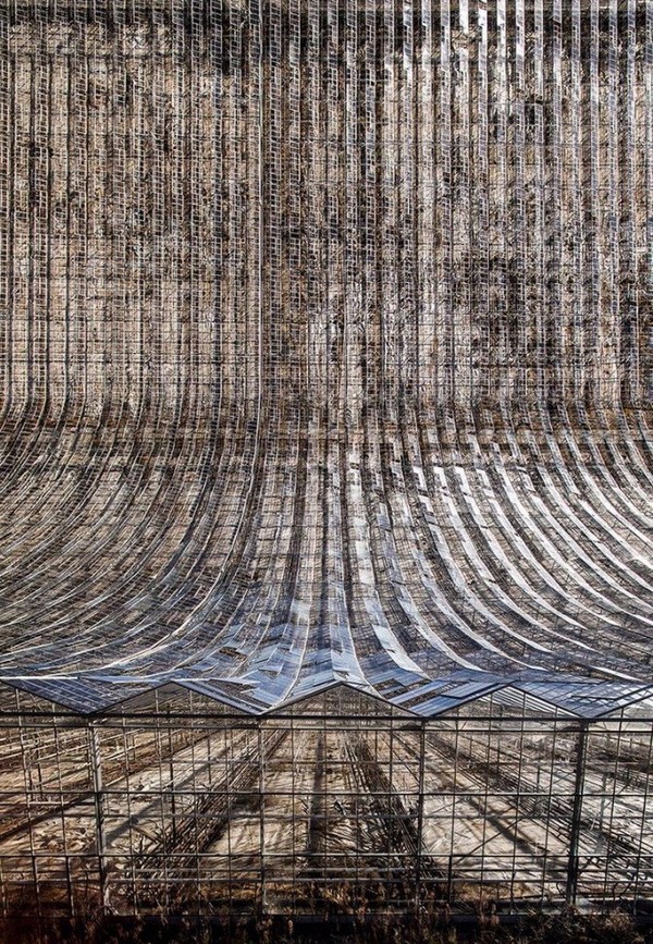 �������� � ����