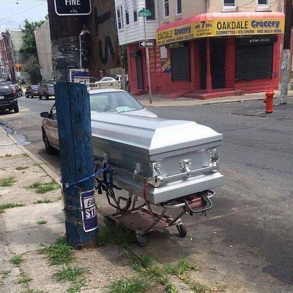 ������������ �����