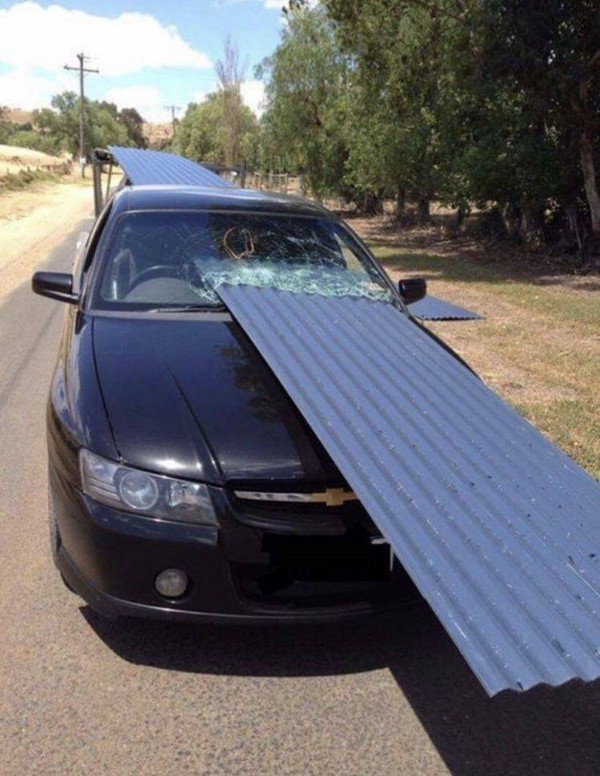 ������������ �����