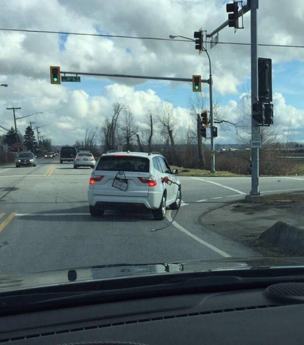 ������������ �����