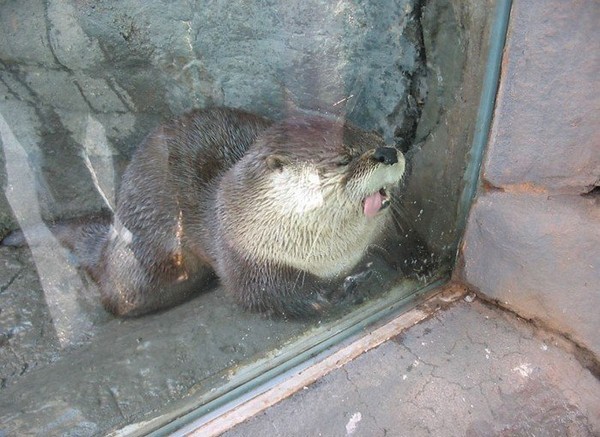 ���� ������!