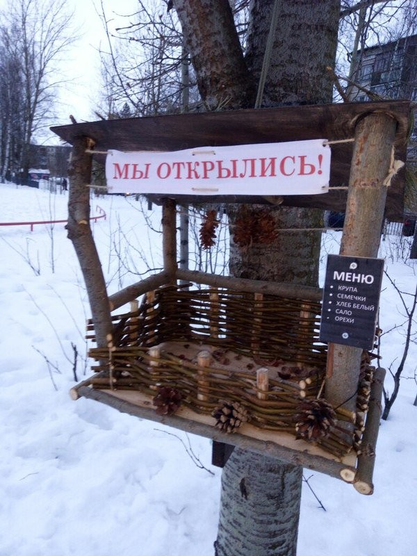 ������� � �������