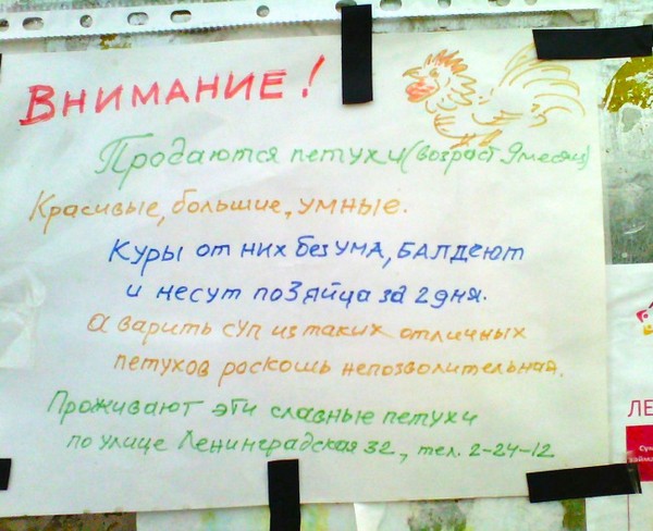 ������� � �������