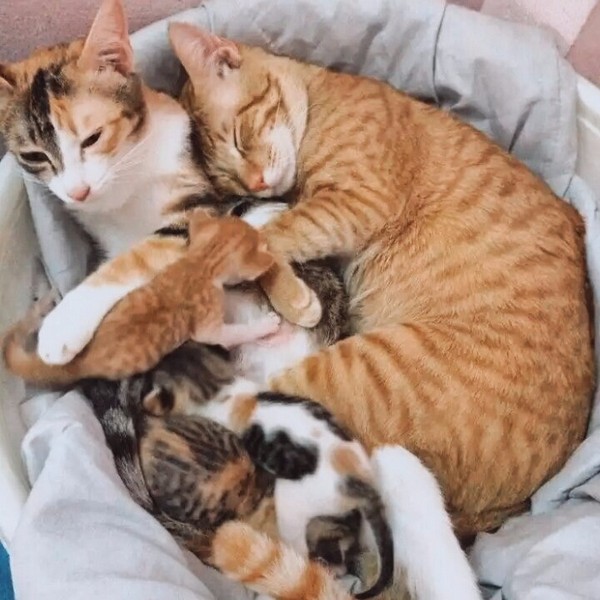 ����-���