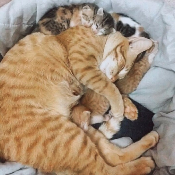 ����-���