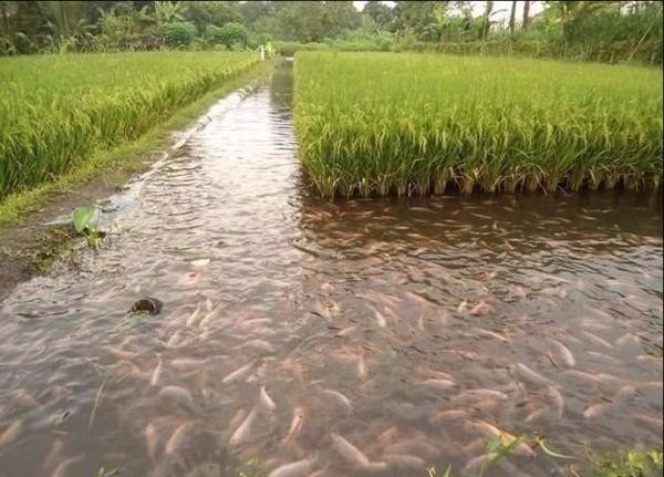 ����� ������