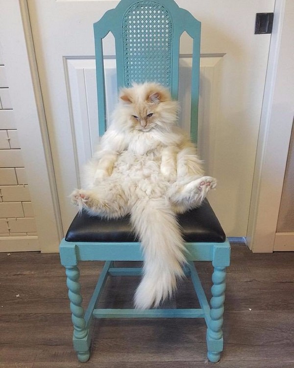 ����� ������