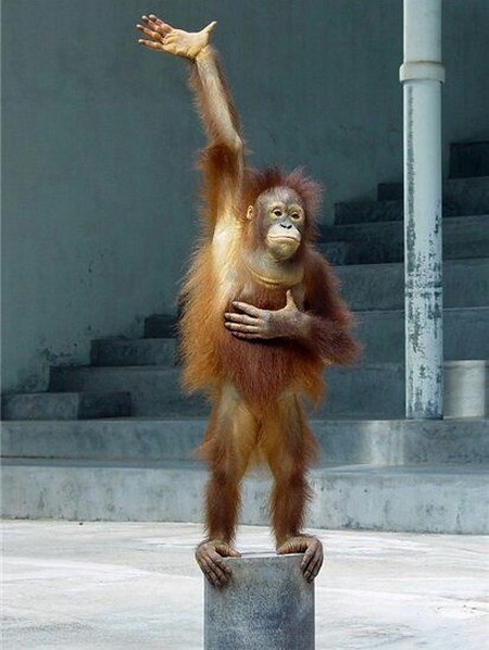 ����� ������