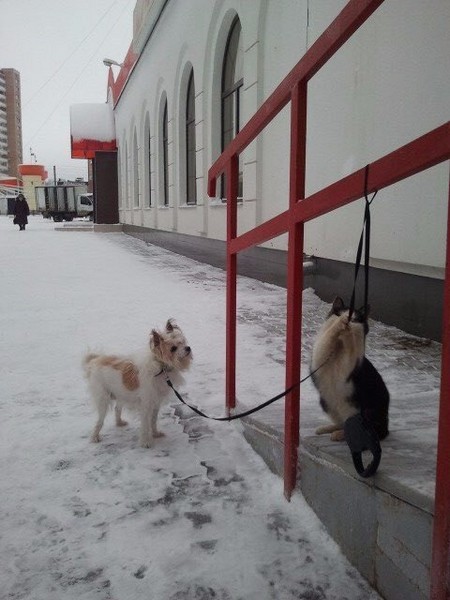 ����� ������