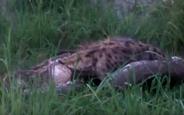 ����� ��������� �����