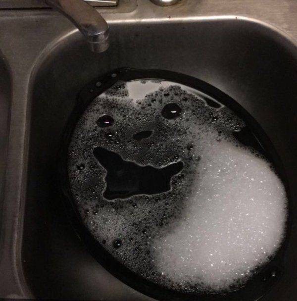 �������� �����