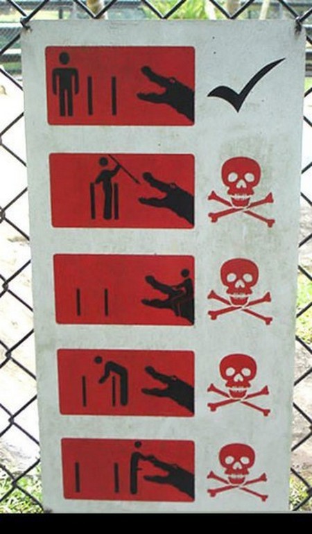 �������� �����