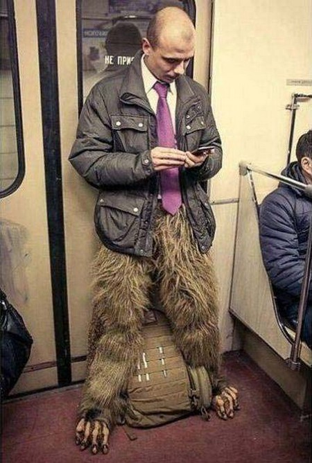 �������� �����