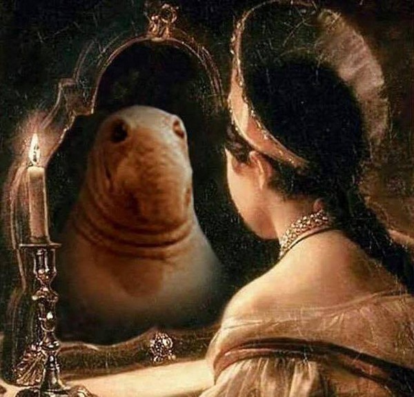 �������� ��������